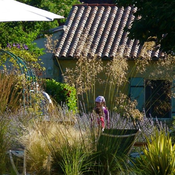 Stipa tenuissima and Stipa gigantea catch the sun by the pool. Garden designed by Carolyn Grohmann