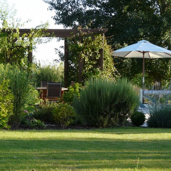 Wooden pergola with climbers creates shade by the pool. Garden designed by Carolyn Grohmann