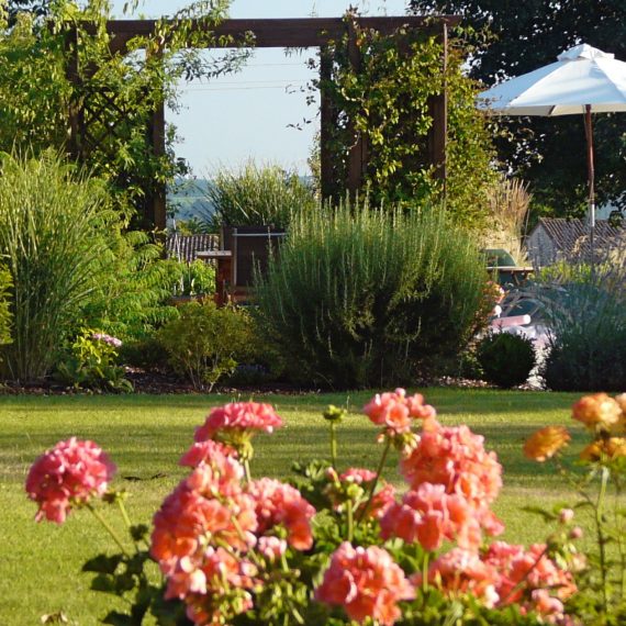 La pelouse anglaise with pergola by the pool. Garden designed by Carolyn Grohmann