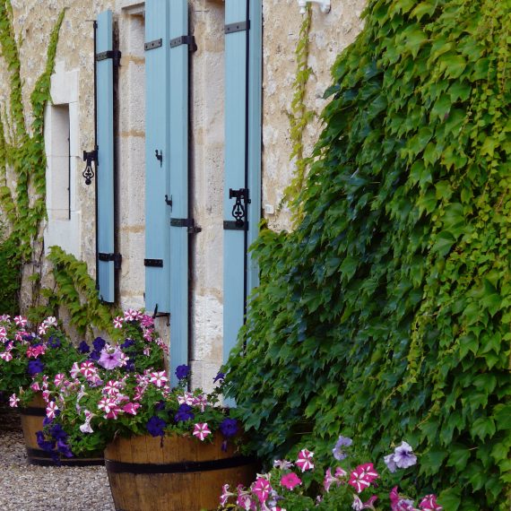 Pots of annuals and Virginia Creeper at the front of the house. Garden designed by Carolyn Grohmann