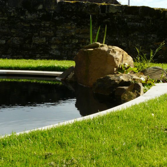 Boulders at edge of pond