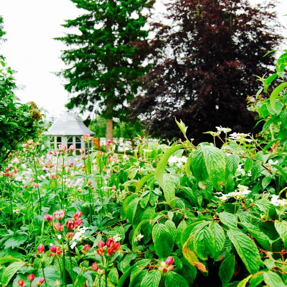 Lush planting and Victorian summerhouse, design by Carolyn Grohmann