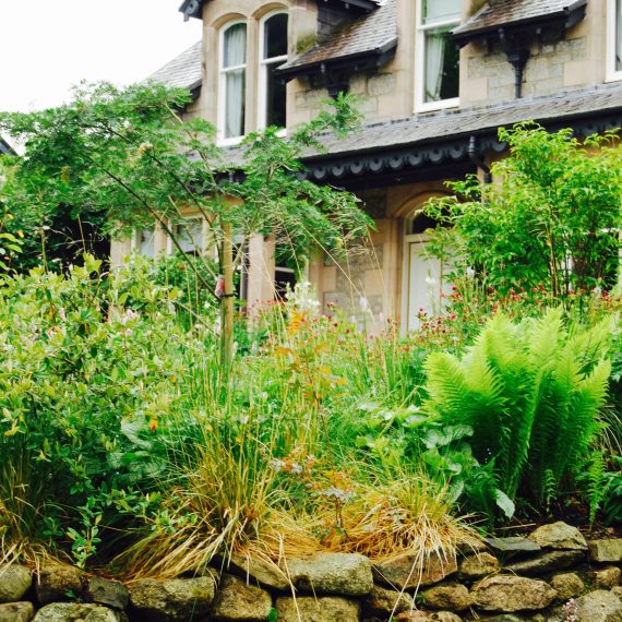 Boat of Garten borders designed by Carolyn Grohmann