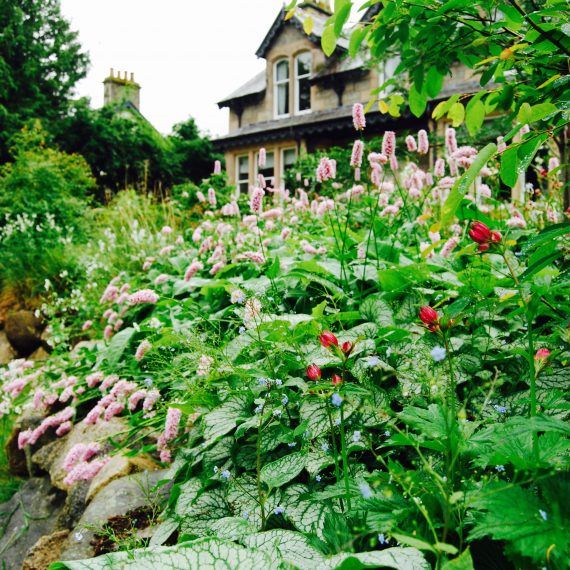 Boat of Garten borders designed by Carolyn Grohmann