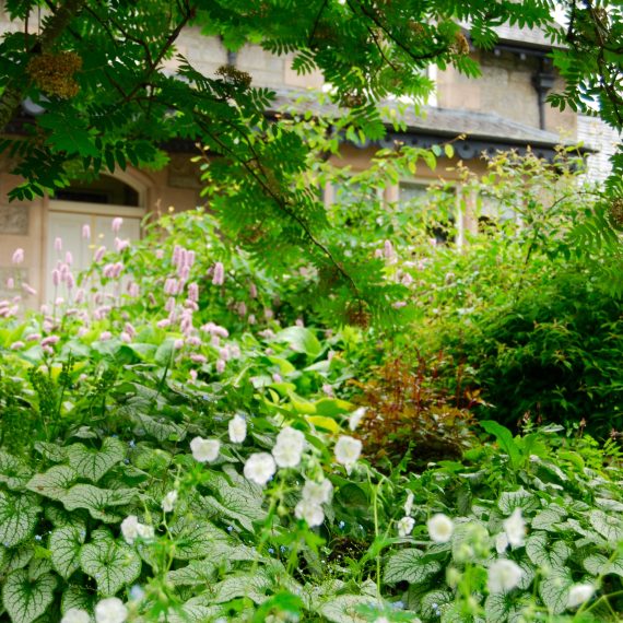 Boat of Garten borders designed by Carolyn Grohmann