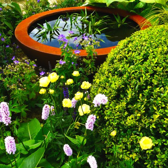 Gold Medal winner designed by Carolyn Grohmann, 2014 Gardening Scotland, built for the Freedom From Fistula Foundation Charity, Urbis lily bowl, plants supplied by Binny Plants