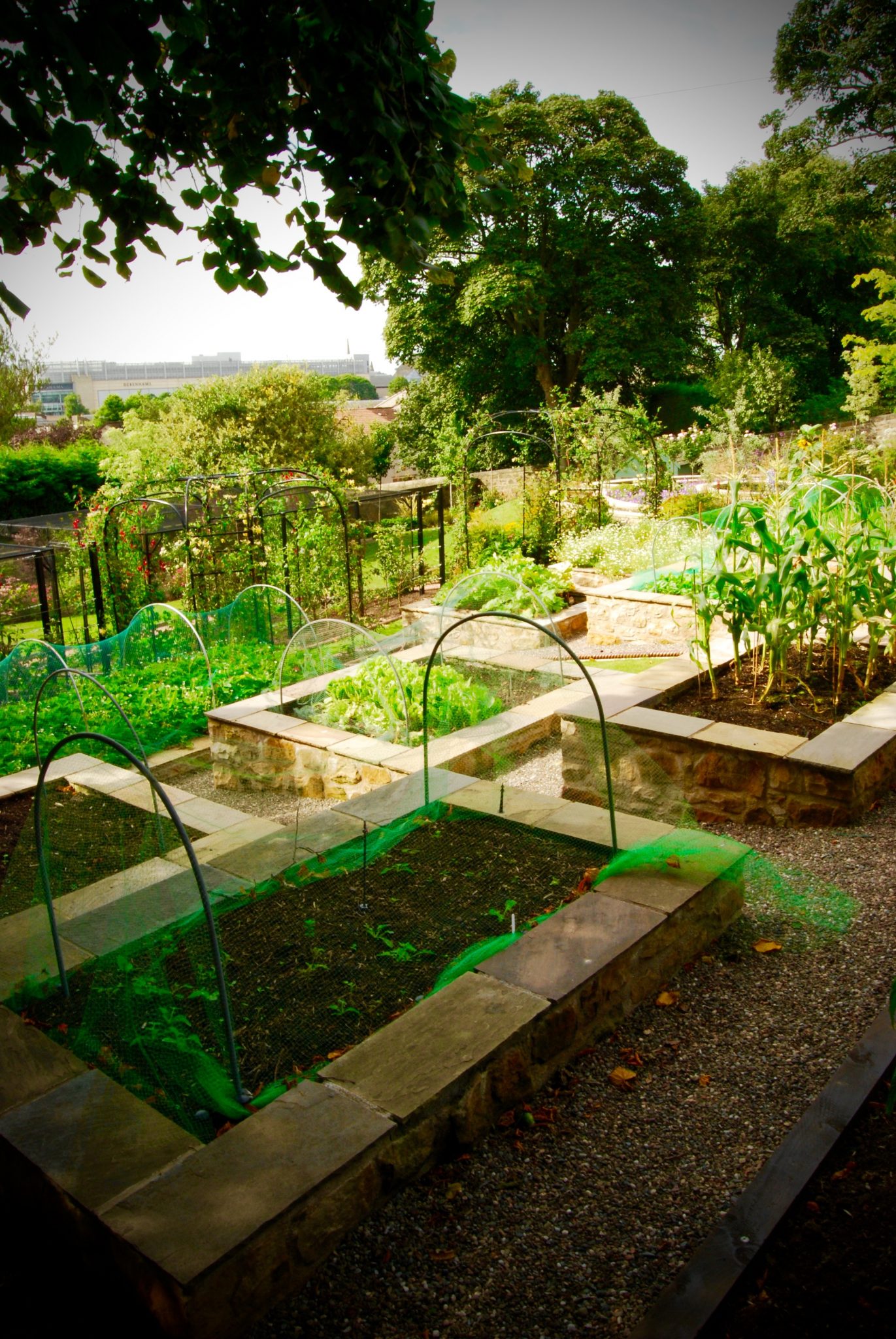 Garden Design - Secret Gardens | Dunfermline Garden