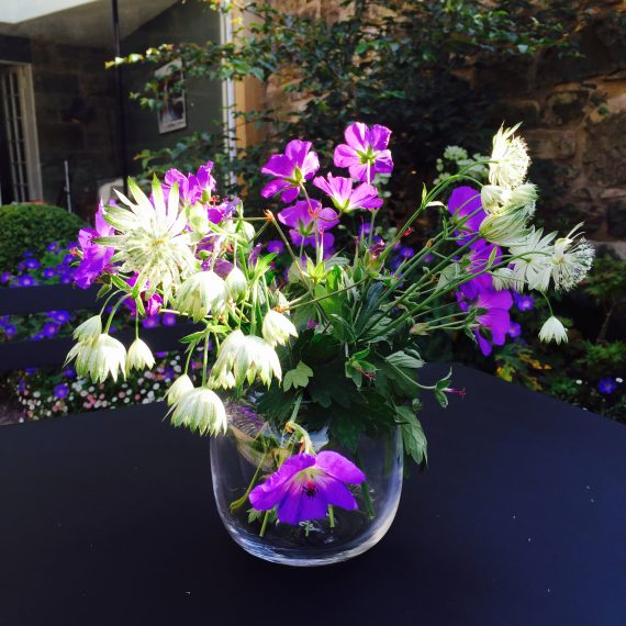 Geranium Roxanne and Astrantia White Star