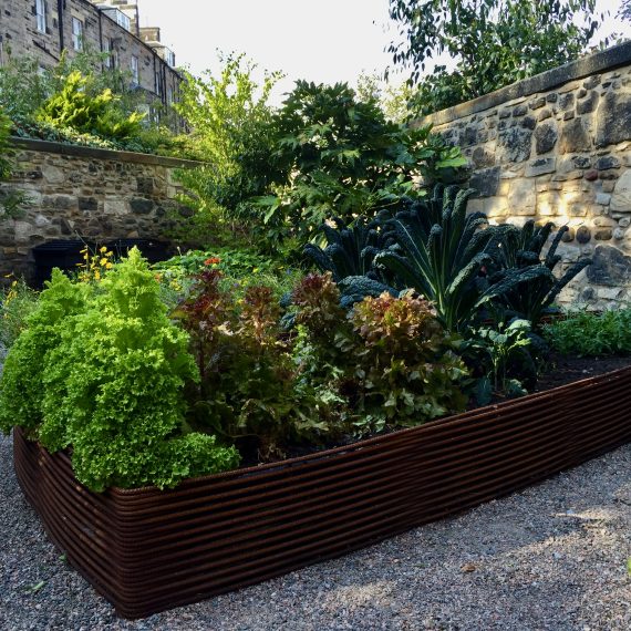 Woven rebar raised bed filled with vegetables