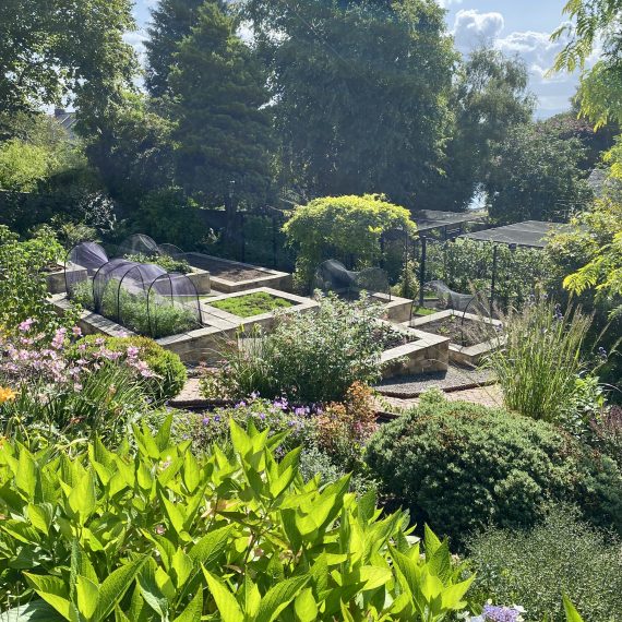 Stone raised beds in vegetable garden