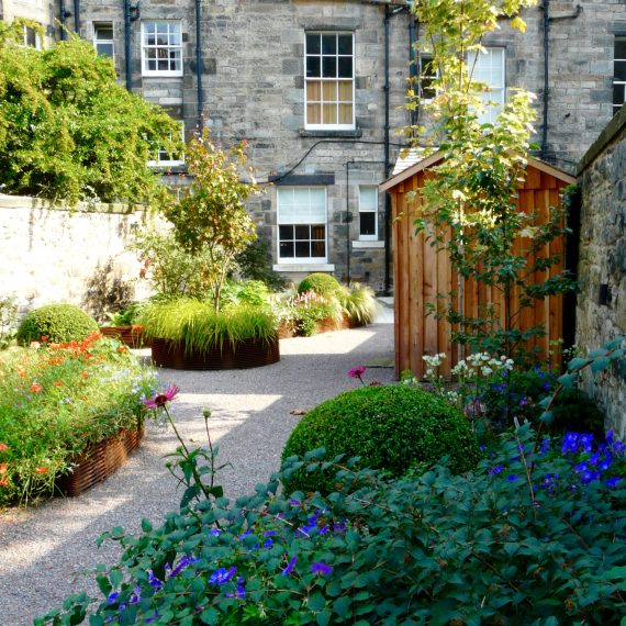 Scottish larch garden shed in Edinburgh garden