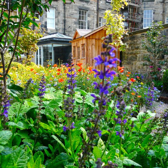 Scottish larch garden shed in Edinburgh garden