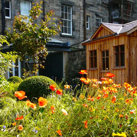 Eton Terrace Garden designed by Carolyn Grohmann, built by Water Gems, Principal BALI award winning garden