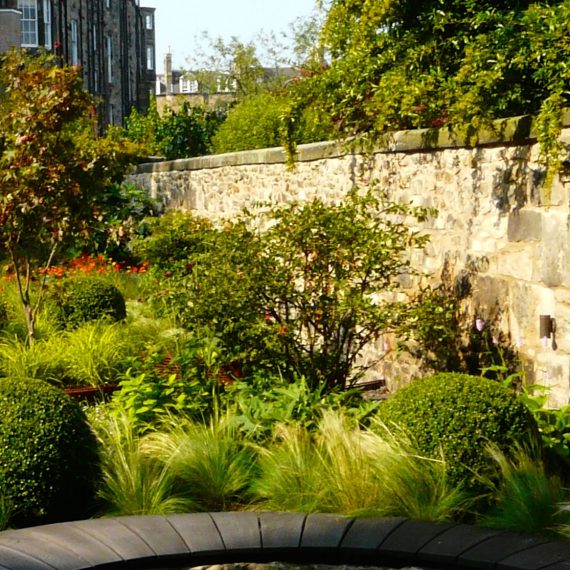 Urbis lily bowl, scorched oak bench, garden designed by Carolyn Grohmann