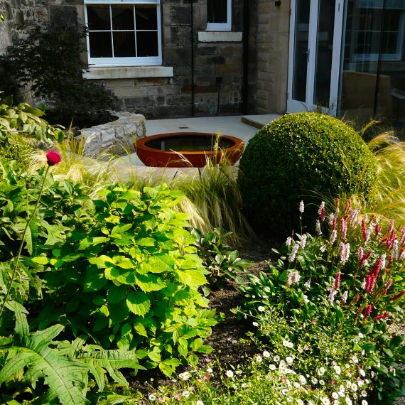 Award winning Edinburgh garden