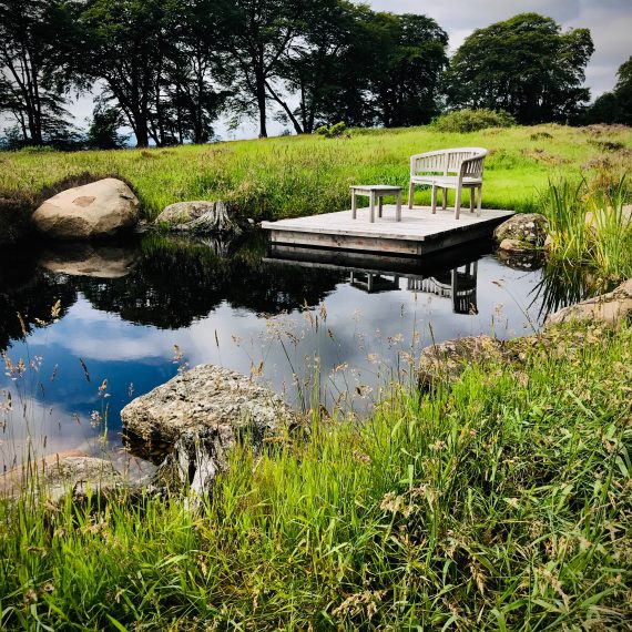 Wildlife pond with Scottish larch deck. Designed by Carolyn Grohmann