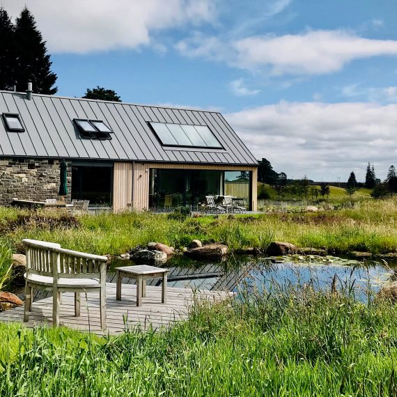 View to the east across the wildlife pond. Designed by Carolyn Grohmann