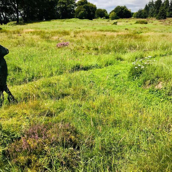 Mown paths with Stanley Dove (sculptor) hare. Garden design by Carolyn Grohmann