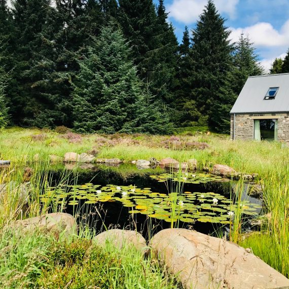 Wildlife pond with water lilies, flag iris and locally sourced boulders. Designed by Carolyn Grohmann