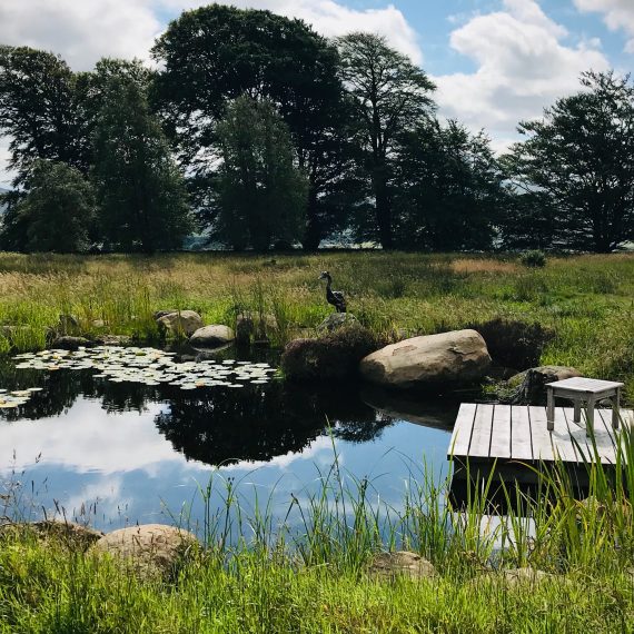 Wildlife pond with Scottish larch deck and Helen Dennerly's heron sculpture. Garden designed by Carolyn Grohmann