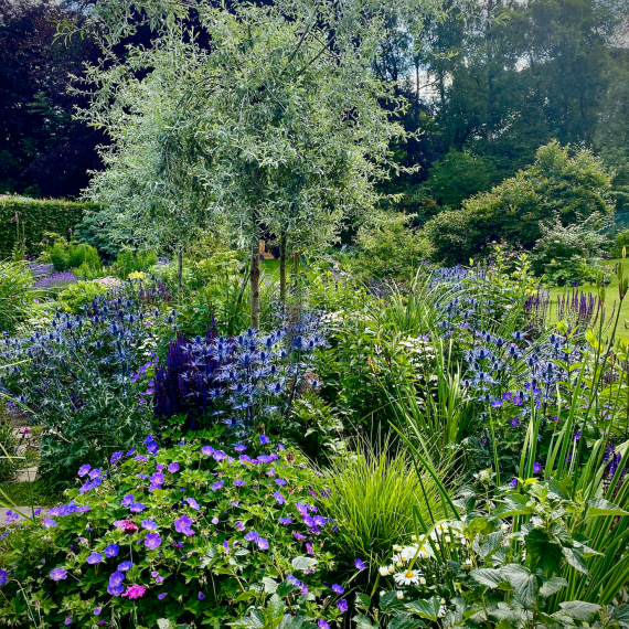 Ravelston garden designed by Carolyn Grohmann