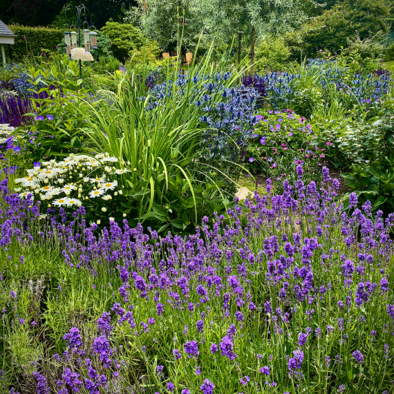 Ravelston garden designed by Carolyn Grohmann