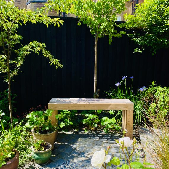 Backless larch garden bench