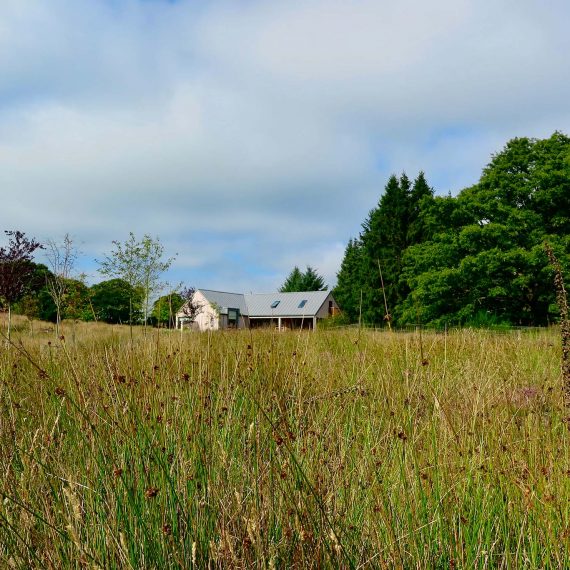 Moorland setting