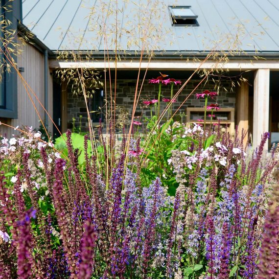 Grasses and herbaceous plants mimicking nearby flora