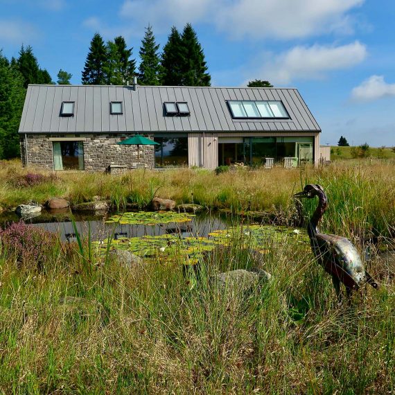 Heron sculpture by wildlife pond