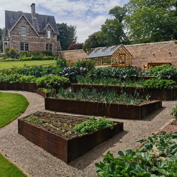 Woven rebar raised beds in East Lothian walled kitchen garden