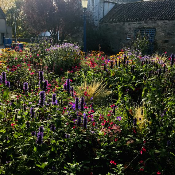 Culross Community Garden planting design