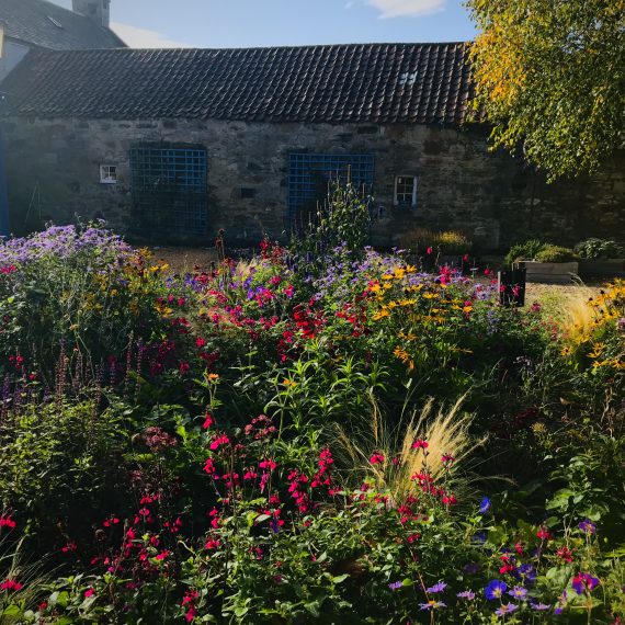 Culross Community Garden planting design