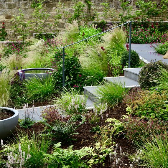 Accessible Morningside garden, design by Carolyn Grohmann