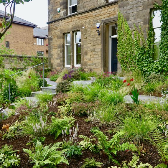 Accessible Morningside garden, design by Carolyn Grohmann