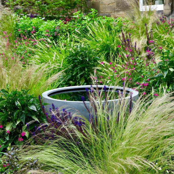 Accessible Morningside garden, design by Carolyn Grohmann