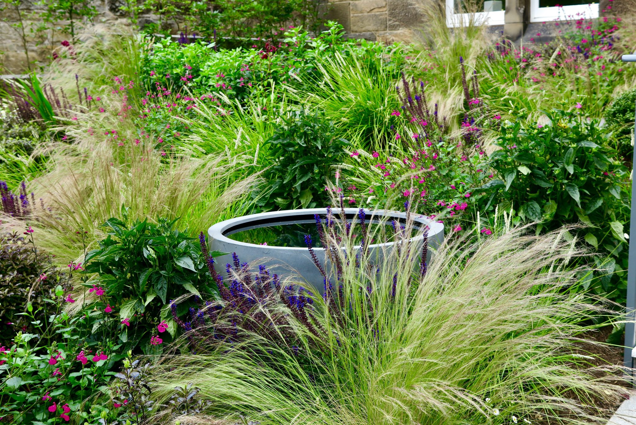 Accessible Morningside garden, design by Carolyn Grohmann