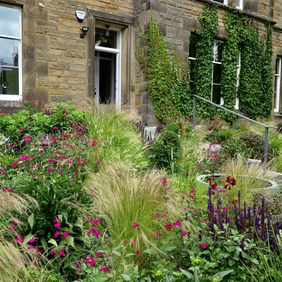 Accessible Morningside garden, design by Carolyn Grohmann