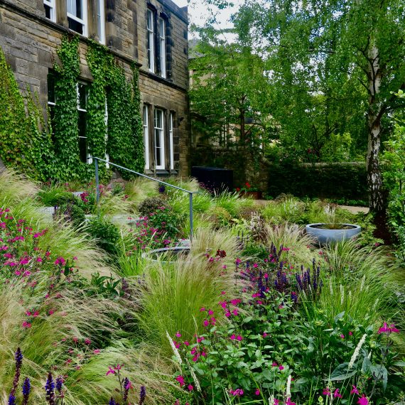 Accessible Morningside garden, design by Carolyn Grohmann