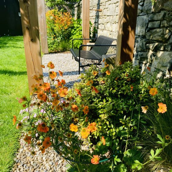 Scottish larch pergola and herbaceous planting