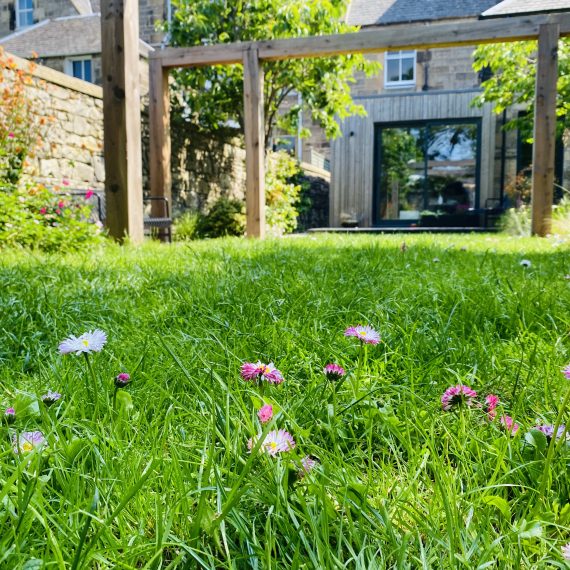 Scottish Larch pergola and species rich lawn