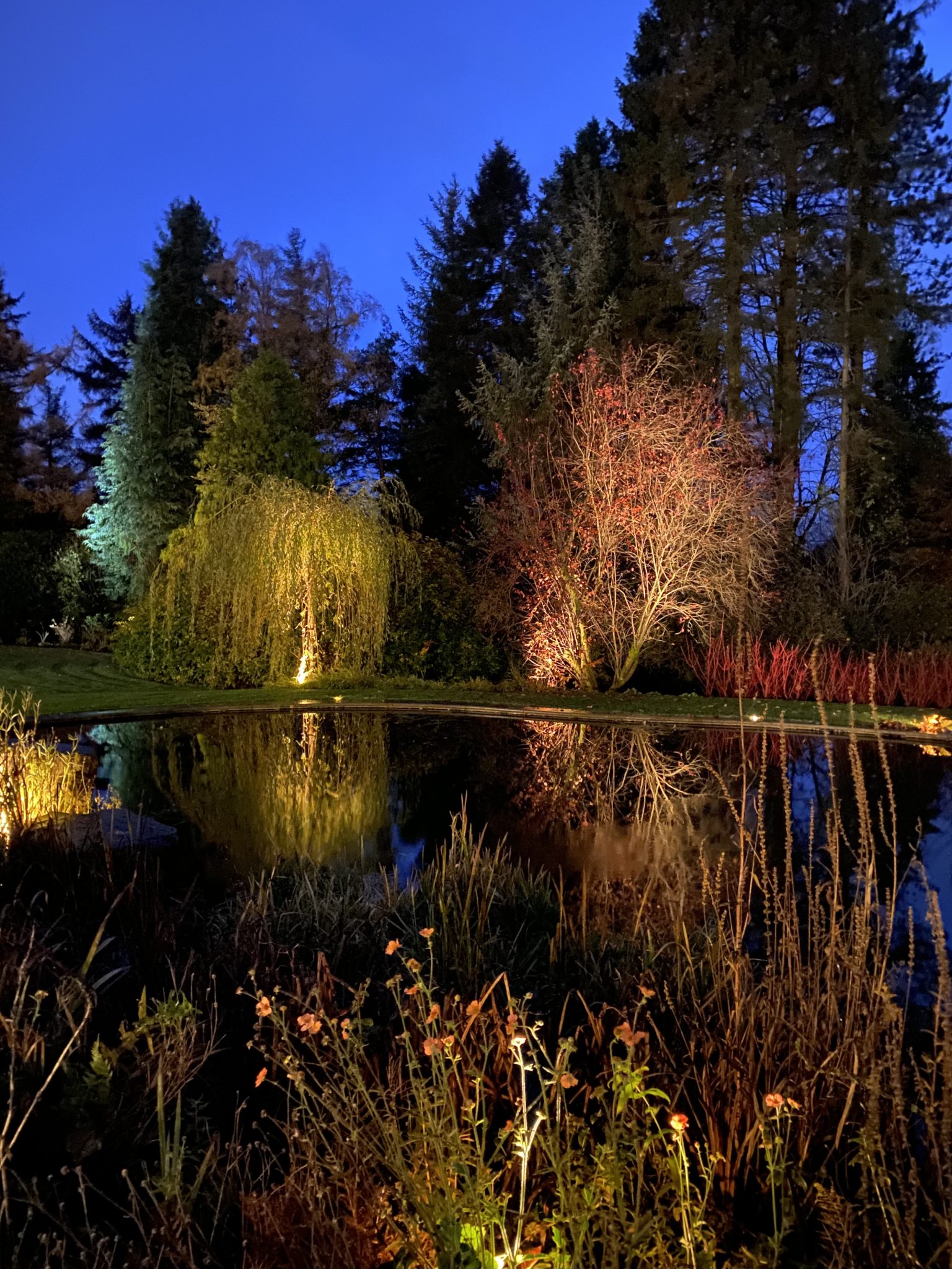 Swimming pond and woodland lighting