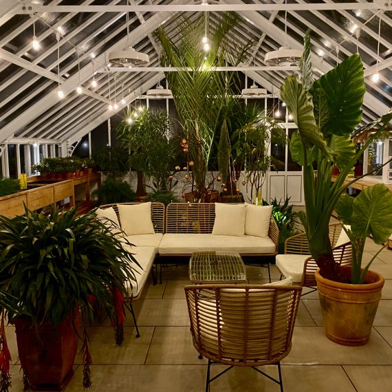 Greenhouse/orangerie lighting