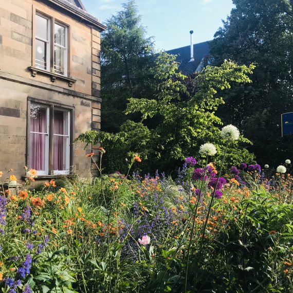 Edinburgh Steiner School Garden