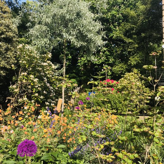 Edinburgh Steiner School Garden