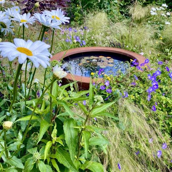 Urbis lily bowl surrounded by wildlife friendly planting