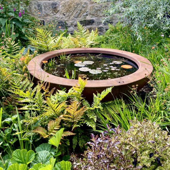 Urbis lily bowl surrounded by wildlife friendly planting
