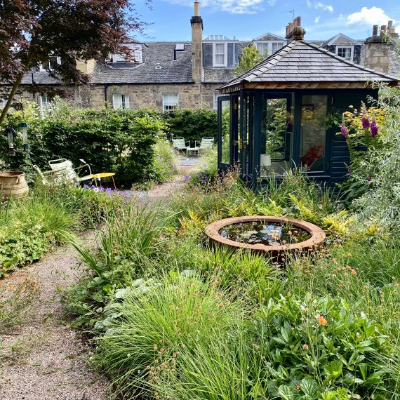 Wilding the city with summerhouse, water bowl and wildlife friendly planting