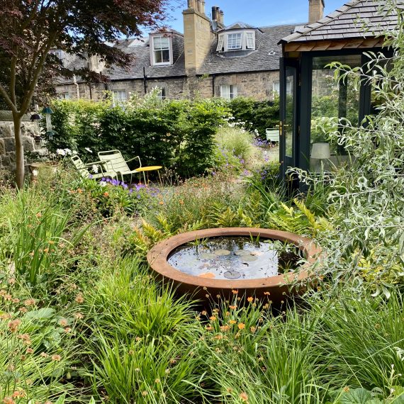 Edinburgh garden with summerhouse and wildlife friendly planting