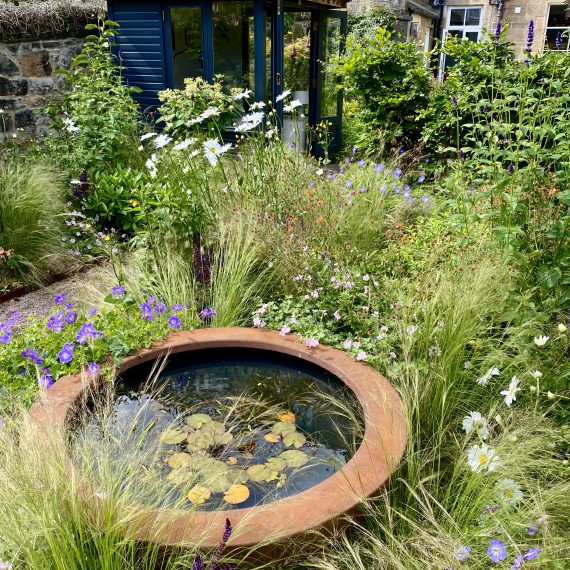 Wilding the city with summerhouse, water bowl and wildlife friendly planting